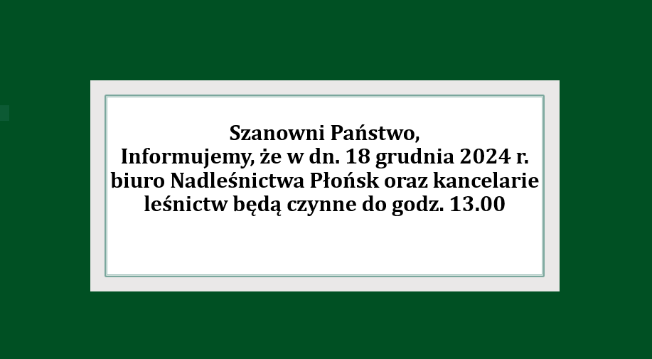 Godziny Pracy Nadleśnictwa 18.12.2024r.