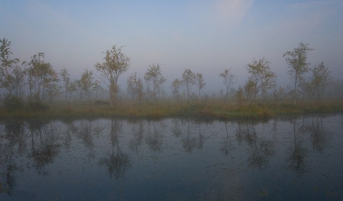 02 lutego obchodzimy World Wetland Day, czyli Światowy Dzień Mokradeł